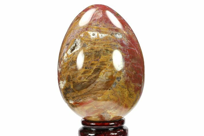 Colorful, Polished Petrified Wood Egg - Triassic #133928